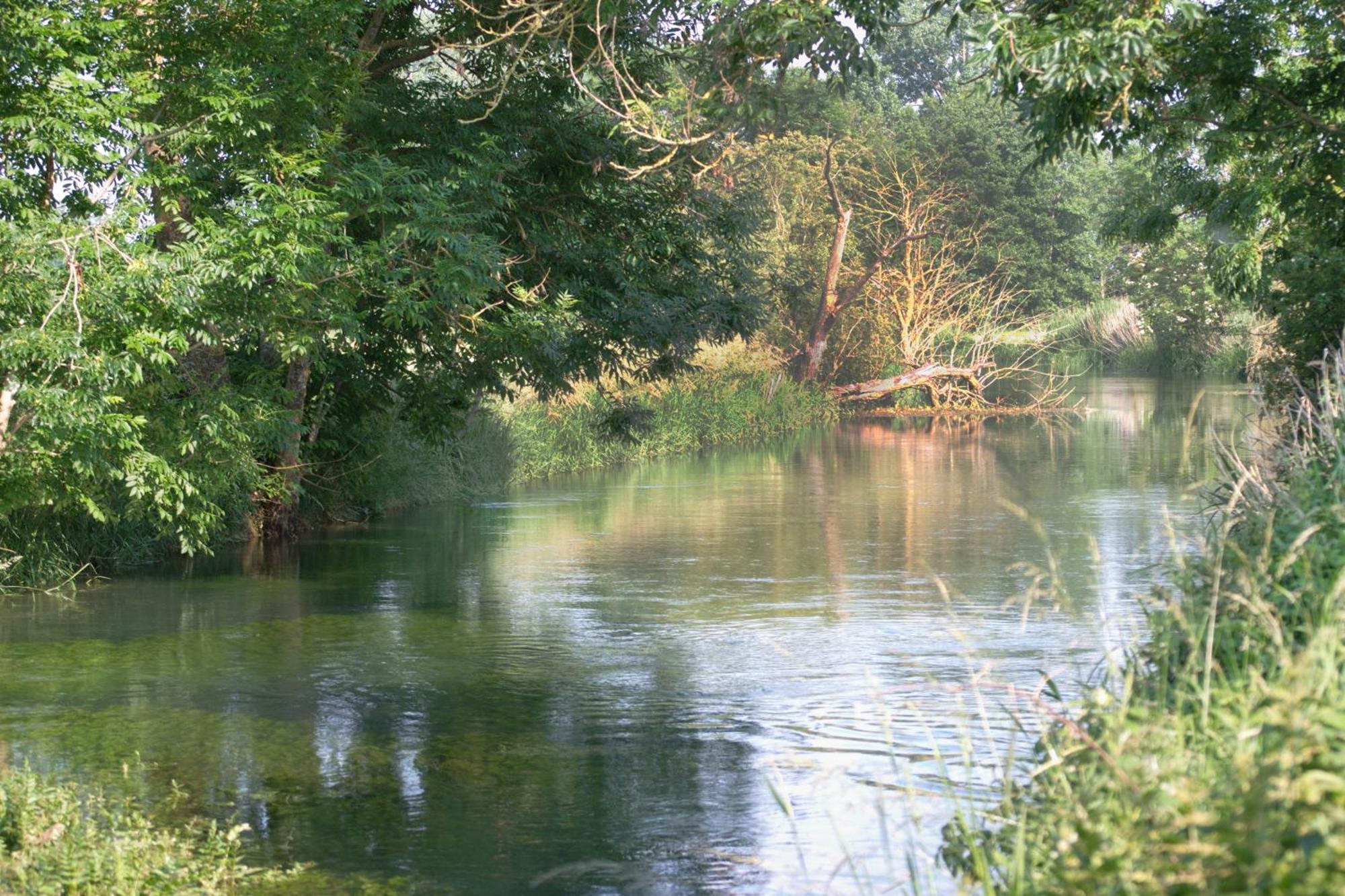 Landgasthof Adler Rammingen Zewnętrze zdjęcie