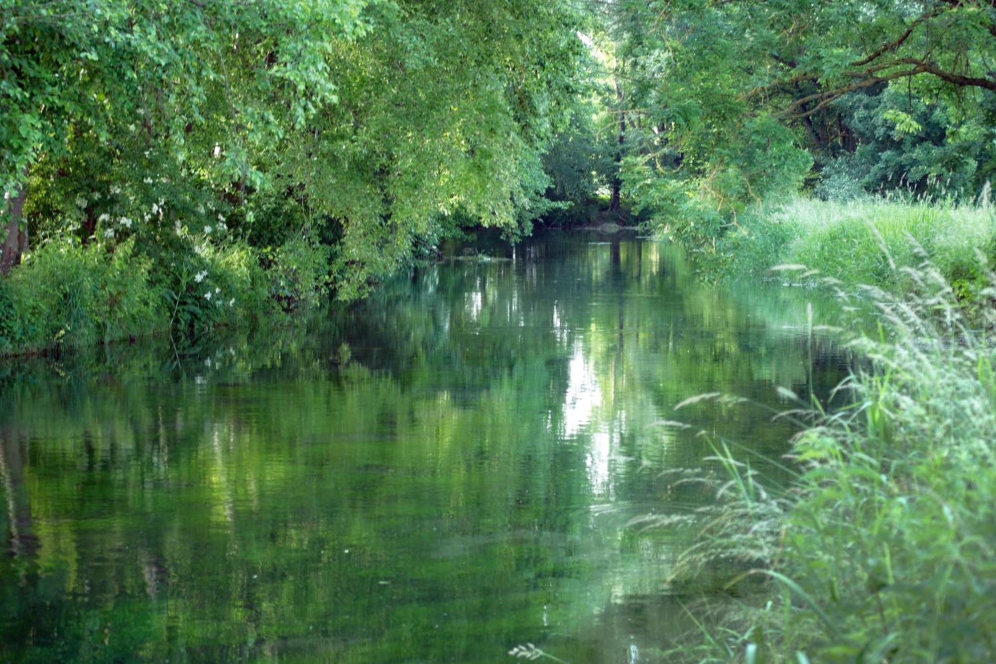 Landgasthof Adler Rammingen Zewnętrze zdjęcie